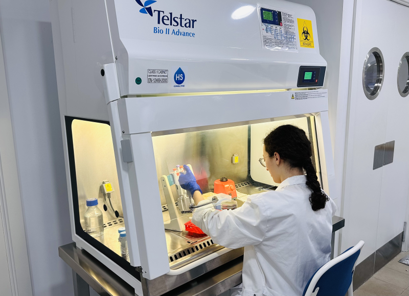 Certificado de calidad